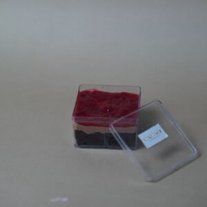 Dark Chocolate Raspberry