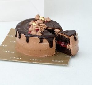 RASPBERRY DARK CHOCOLATE